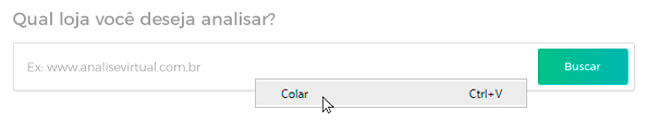 Campo de busca, colando o endereço copiado